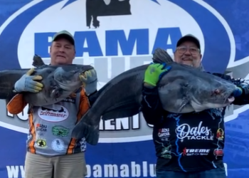 catfish, tournament, Bama Blues, blue cat, flathead, Wheeler Lake, Cory Ramsey, Chris Ramsey, Decatur, Alabama, Doc Lange, Chris Fuller, Donnie Fountain, Lonnie Fountain, Ron Goucher, Jocelyn Hoalt, Brad Hoalt, Aaron Churchwell, Chad Bryant