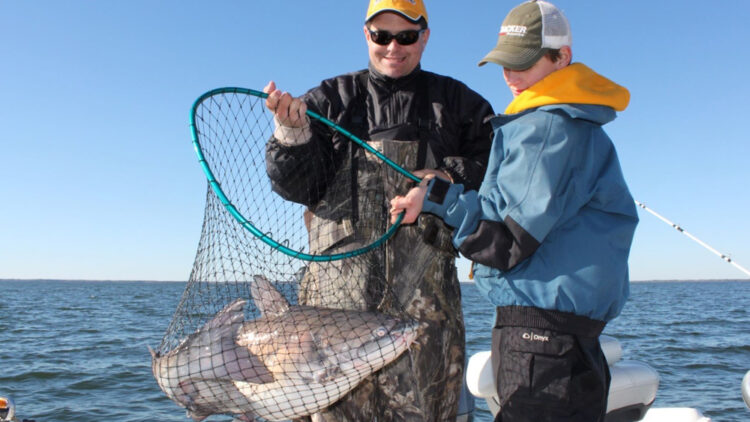 It’s not all about the catching, but it never hurts when the cats choose to do their part!