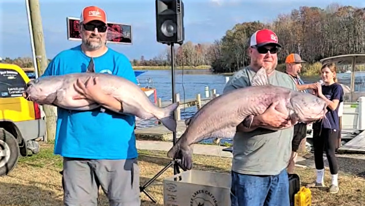 catfish, catfishing, blue cats, flatheads, channel cats, tournament, Santee Cooper, Blacks Camp, Kevin Davis, Ralph Willey, Tonja Elliott Willey, Mark Coburn, Jason Wolfe, Brad McCall, Mike Durham, Clay Biship, Les Pence