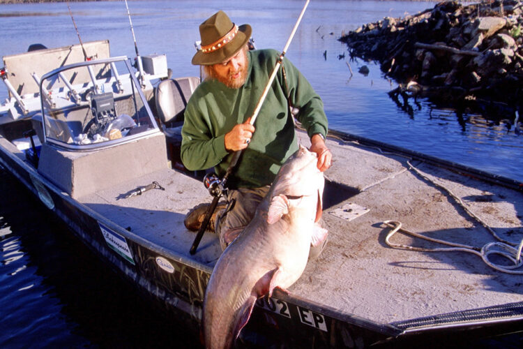 Author Keith Sutton shows the product of a successful day catfishing in winter—a 64-pound trophy blue cat. (Matt Sutton Photo)