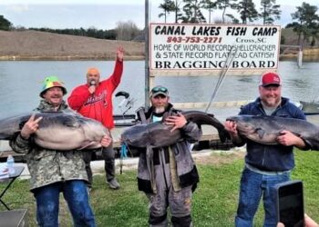 catfish, tournament, Santee Lakes Catfish Club, blue catfish, flathead, Moultrie, Mike Durham, gizzard shad, perch, 100 Pound Club, vern reynolds, mark coburn, ralph willey