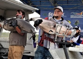 catfish, tournament, Bama Blues, blue cat, flathead, Wheeler Lake, Cory Ramsey, Chris Ramsey, Decatur, Alabama, Andy Williams, Damian Clark, Bobby Grider, Chuck Woodall, Trey Thorpe, Rick Arkenbout, Zebco Rick, Brian Gillis, SeaArk Boats, BnM Poles, American Catfishing Association, ACA