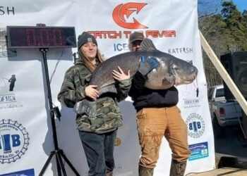 Intermediate, catfish, blue catfish, flathead, channel, tournament, Icebowl, BnM Poles, Michael Lawrence, Casey Campbell, Bill Flathead Sutton, Kerr Lake, North Carolina, Virginia