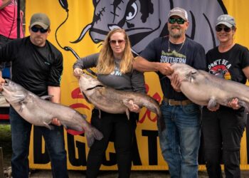 catfish, tournament, intermediate, blue cat, flathead, channel cat, Santee, Big Cat Brawl, Scott Peavy, Mark Coburn, Ralph Willey, Black’s Camp