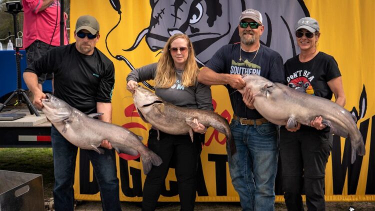 catfish, tournament, intermediate, blue cat, flathead, channel cat, Santee, Big Cat Brawl, Scott Peavy, Mark Coburn, Ralph Willey, Black’s Camp