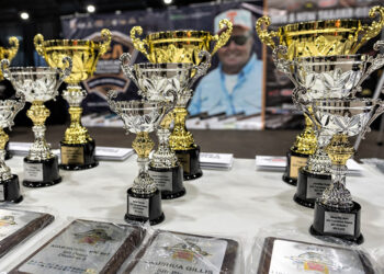 photo of trophies on a table