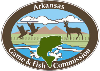 community, catfish, stockings, Arkansas, Fish and Game