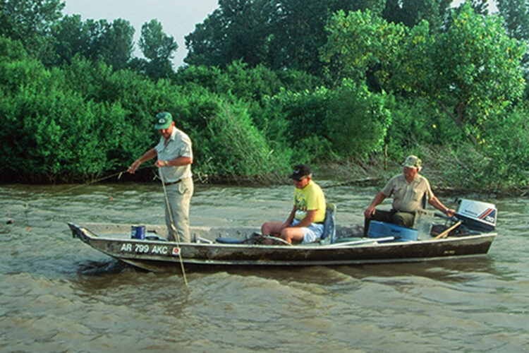 Trotlines for catfish