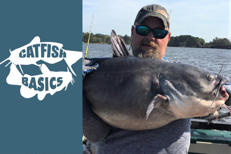 Beat the Spawn by Scott Peavy