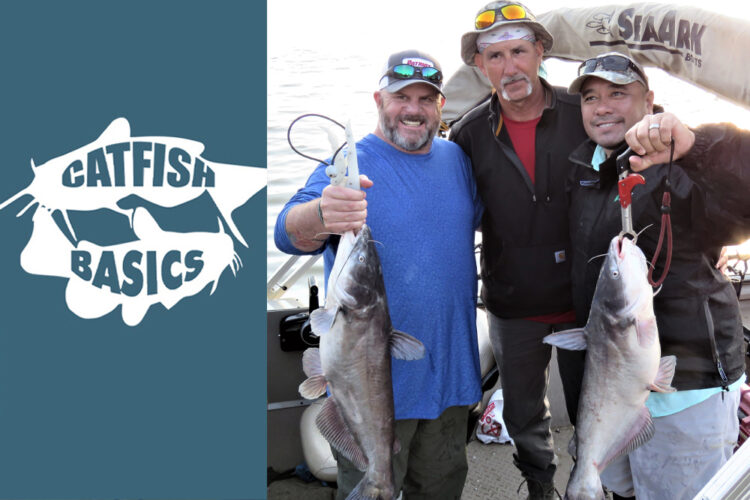 Shallow Mud Bottom by Roger Breedlove