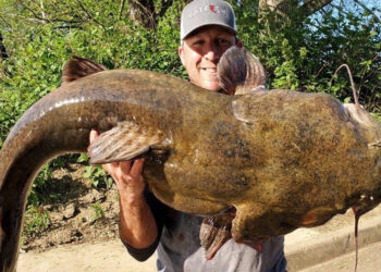 Joe Granata’s passion for finding and catching flatheads