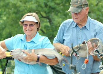 KingKat on Carlyle—How They Fished