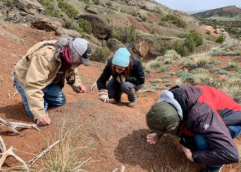 Anietra Hamper and paleontologist Jean-Pierre Cavigelli and Tyler Greenfield, Tate Geological Museum Collections Assistant, searching for fossils on Casper Mountain.