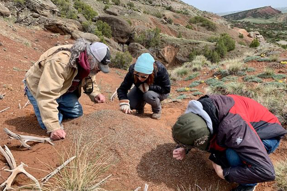 Anietra Hamper and paleontologist Jean-Pierre Cavigelli and Tyler Greenfield, Tate Geological Museum Collections Assistant, searching for fossils on Casper Mountain.