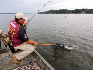 Downsize your hooks and baits to catch nice channel cats like this. Capt. Brian Barton targets 1 ½ - to 3-pound fish for his clients who want “eater” catfish. 