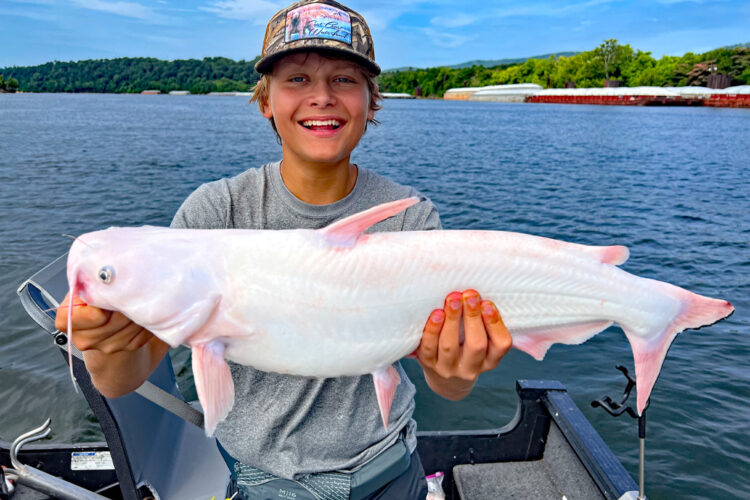 Edwards Tarumianz basically won the "catfishing lottery" when he captured a rare, all-white (leucistic) blue catfish from the Tennessee River near Chattanooga in June. Edwards' rare catch has been featured on websites across the country, and even around the world, thanks to social media. (Capt. Richard Simms Photo)