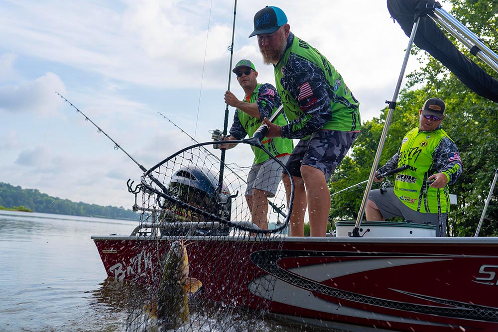 Jay Gallop using a dip net to land this big flat head catfich