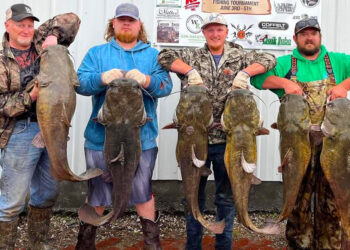 Participants in this year’s Yeager-Jenkins Memorial Catfish Tournament held proof that the Neosho River still holds big flatheads. The fish were later released.