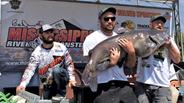 catfish, tournament, Mississippi River Monsters, MRM, Memphis, Tennessee, Mississippi River, Big Muddy, bumping, anchoring, current, skipjack, George Young Jr., Bill Dance, Thomas Dollens, Kelly Marietta