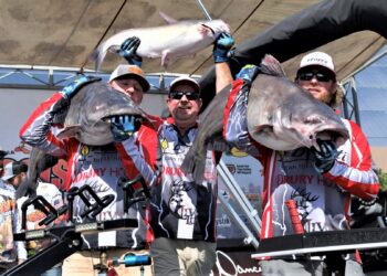 catfish, tournament, Mississippi River Monsters, MRM, Memphis, Tennessee, Mississippi River, Big Muddy, bumping, anchoring, current, skipjack, George Young Jr., Bill Dance
