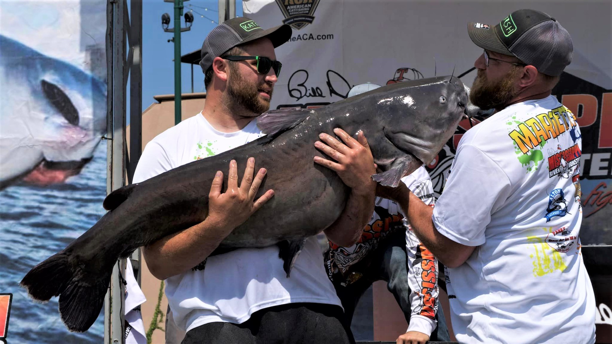 catfish, tournament, Mississippi River Monsters, MRM, Memphis, Tennessee, Mississippi River, Big Muddy, bumping, anchoring, current, skipjack, George Young Jr., Bill Dance