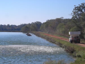 Topwater catfish baits may seem preposterous to some anglers, but despite popular misconceptions, catfish readily take foods on the water’s surface. For example, catfish churn the surface when trucks spread floating fish chow on the water at aquaculture operations. (Photo courtesy of Alabama Cooperative Extension)