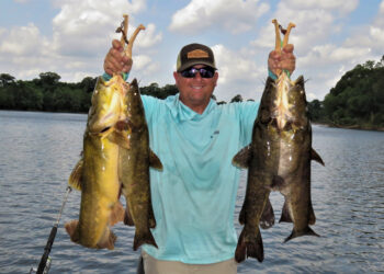 Flatheads became the favorite target for Joey Pounders