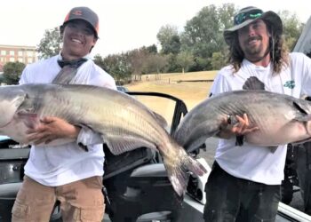 catfish, tournament, Mississippi River Monsters, MRM, Helena, Arkansas, Mississippi River, Big Muddy, bumping, anchoring, current, skipjack, George Young Jr.