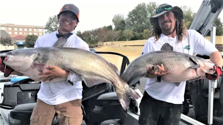 catfish, tournament, Mississippi River Monsters, MRM, Helena, Arkansas, Mississippi River, Big Muddy, bumping, anchoring, current, skipjack, George Young Jr.