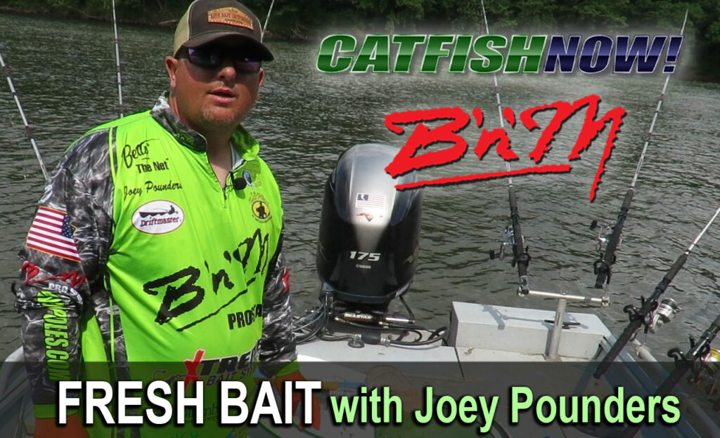 B’n’M How to Video with Joey Pounders—Fresh Bait