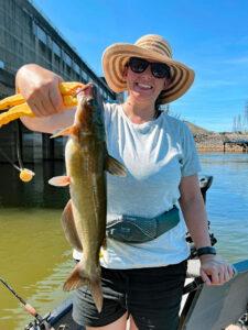 Waters immediately downstream of dams on the Tennessee River hold excellent numbers of channel catfish year ‘round. (Richard Simms Photo)