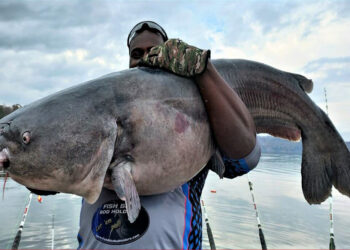 Why We Catfish: A Guest Editorial by Secody Howard