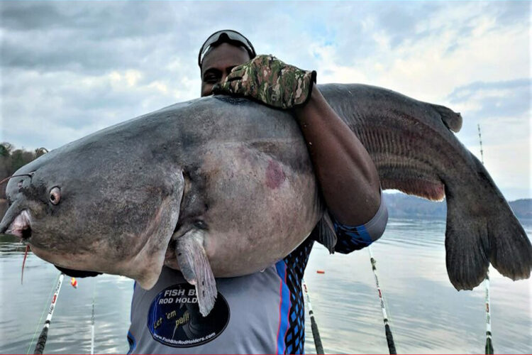 Why We Catfish: A Guest Editorial by Secody Howard