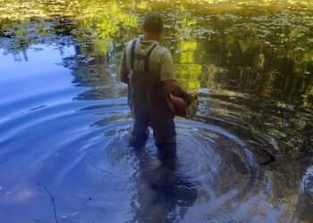 Fisheries biologist Chad Menke deploys a catfish casa in a pond on Hoosier National Forest. | Hoosier National Forest Catfish