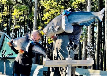 North Alabama Catfish Trail, Lisa Haraway, Kevin Childress, Pickwick, Florence, Alabama, catfish, Lisa Gail Haraway, Tennessee River