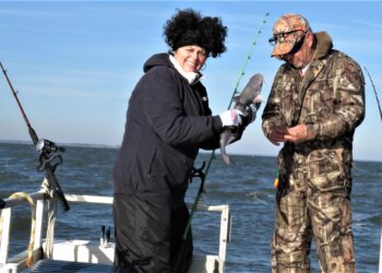 Beginner, catfish, catfishing, blue catfish, flathead catfish, channel catfish, Missouri Department of Conservation, Table Fare, conservation, Cleaning Catfish