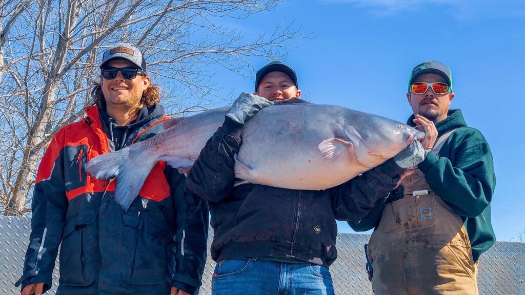 Intermediate, catfish, catfishing, blue catfish, flathead catfish, channel catfish, tournament, Missouri Catfish Classic, Missouri River, Craig Norris, Andy Thompson, Dustin Johnson, Mike Gray, Denny lburg, William Pranker, Shane Wyatt, Alex Nagy, Wallace Maier, Sara Kennedy, Jeff Kennedy