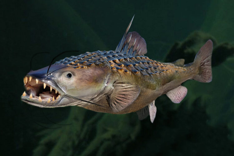 When we talk about bioengineering new and better fish, it’s easy to let our imaginations run wild. Wouldn’t you like to catch a GatorCat?