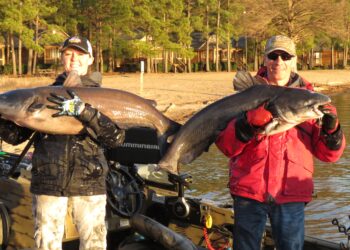 Intermediate, catfish, catfishing, blue catfish, flathead catfish, channel catfish, tournament, King Kat, KingKat, Lake Marion, Palmetto Shores, Cabela’s, Bass Pro, Sweet Sixteen, Bob Denen, Demetria Westbrook, Mike Mitchell, Craig Shirey, Sean Martin, Carl Morris, Jimmy Wesney, Edward Dalton, Trevor Justice, Wanda Bennett Barner