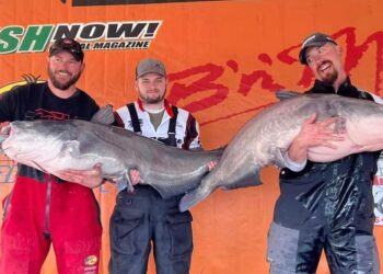 Catfish, tournament, blue cat, flathead, channel cat, CPR, fish care, The CatMasters, Wheeler Lake, Decatur, Alabama, Bryan St. Alma, Jeremy Busby, Ty Lee Nall, James Milton, Jesse Swan, Anthony Murphy, Brant Bullock, Mike Tomas, Donnie Fountain, Lewis Miller, Jason Arrington,
