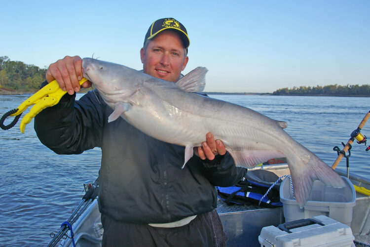Properly handling catfish and safely releasing them requires the right tools, like a good set of lip grips or a rubber-coated micro-mesh landing net.