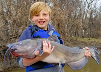 The author’s son Braden holding a very early spring channel catfish. If you notice behind him, the river is full to the top of the cut bank, and plant life is just starting to sprout. This is a time to get out of the current on the OFF current seam to find sluggish catfish.