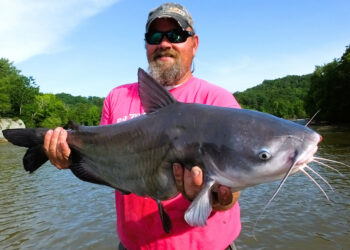 Professional catfishing guide and tournament angler Scott Peavy says moving water creates ideal opportunities to catch fat cats in skinny water.