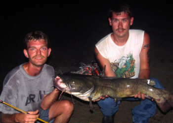When fishing floodwaters for flatheads, bank fishermen often find themselves battling big catfish in extremely shallow water.