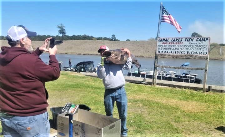 Intermediate, catfish, catfishing, blue catfish, flathead catfish, channel catfish, tournament, Santee Cooper, Santee Cooper Country, Blacks Camp, Santee Big Cat Brawl, Ralph Willey, Mark Coburn, Brad McCall, Mike Durham, Vern Reynolds, Evin Martin, Eric Morris, Kevin Lane Couick, Chase Mundle, Jamey Helms, Lee Williams, Lindsey Brown, Gavin Williams, Lee Williams