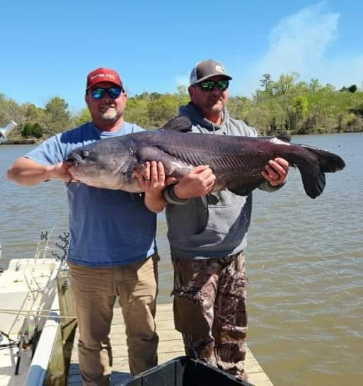 Intermediate, catfish, catfishing, blue catfish, flathead catfish, channel catfish, tournament, Santee Cooper, Santee Cooper Country, Blacks Camp, Santee Big Cat Brawl, Ralph Willey, Mark Coburn, Brad McCall, Mike Durham, Vern Reynolds, Evin Martin, Eric Morris, Kevin Lane Couick, Chase Mundle, Jamey Helms, Lee Williams, Lindsey Brown, Gavin Williams, Lee Williams