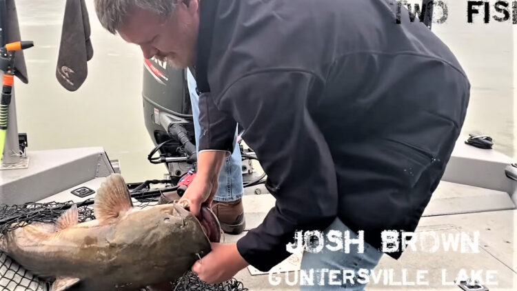 Intermediate, catfish, catfishing, blue catfish, flathead catfish, channel catfish, tournament, The CatMasters, Major League Tour, Wheeler Lake, Wilson Lake, Guntersville, Alabama, Bryan St. Alma, Jennifer St Alma, Jeremy Busby, Ty Lee Nall, James Milton, Jesse Swan, Josh Brown, JR Hall, Aaron Churchwell