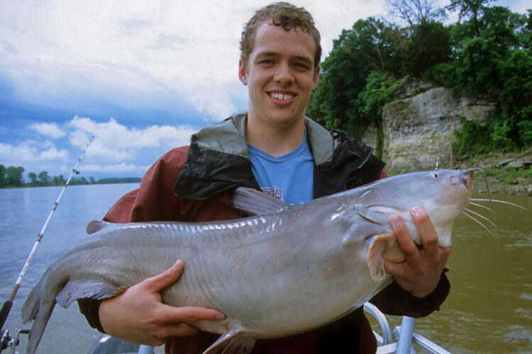 The opportunity to once again catch heavyweight blue cats like this has Pennsylvania anglers excited. When blues released in the Ohio River mature, they will be the largest gamefish in the Commonwealth, often outweighing striped bass, carp, muskies and flathead catfish.