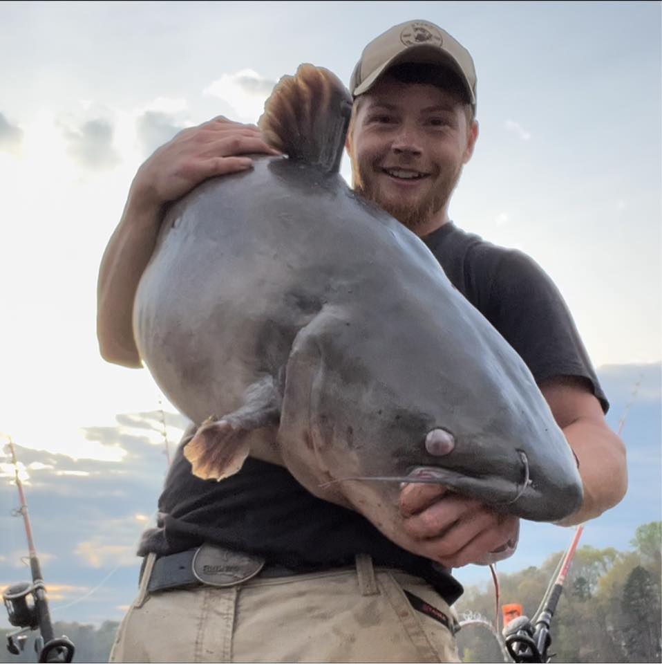 Intermediate, catfish, catfishing, blue catfish, flathead catfish, channel catfish, creek, anchor, fishing, bream, circle hooks, Lake Hartwell, timber, Aaron Riggins, Thomas Walker Jr