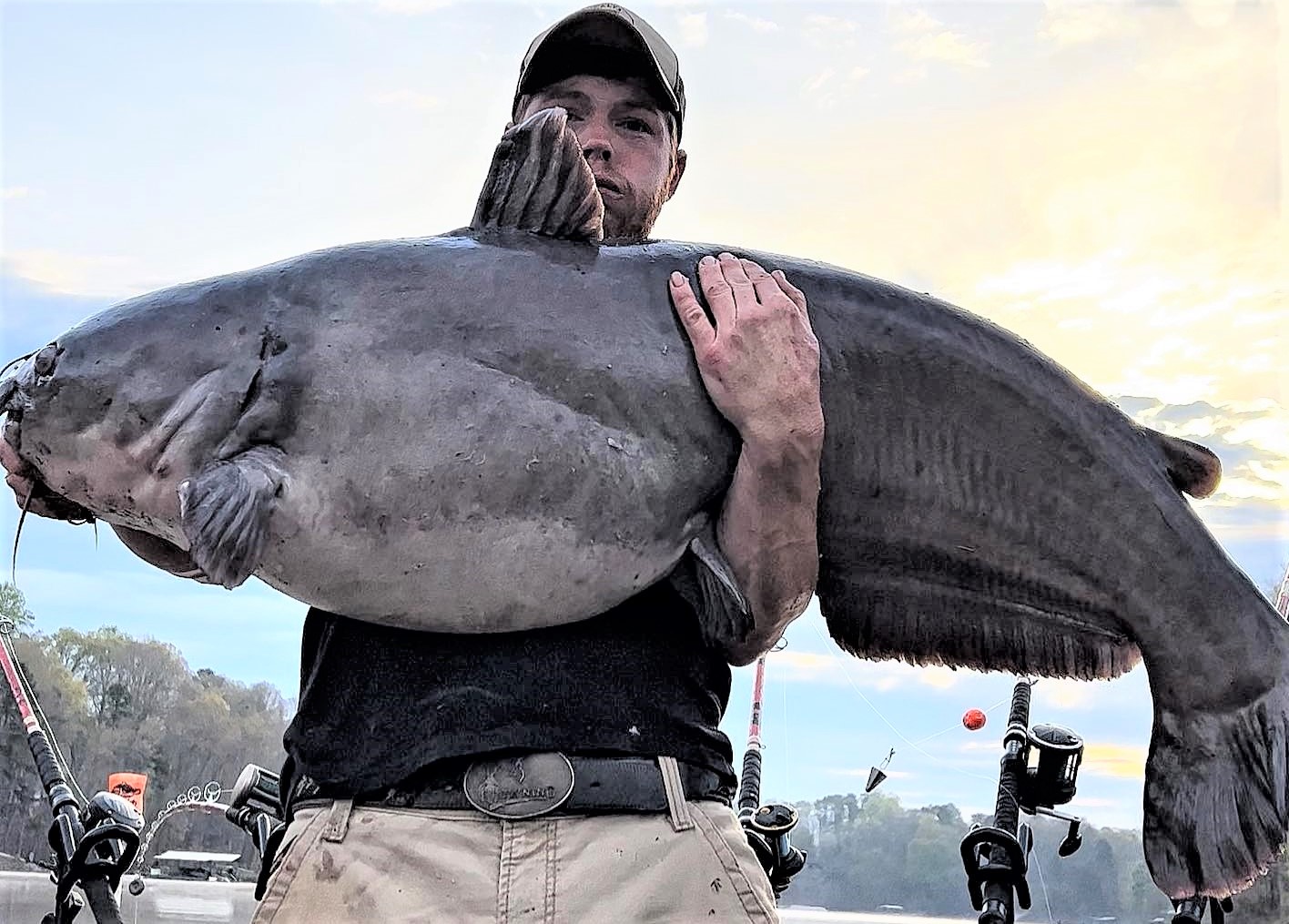 Intermediate, catfish, catfishing, blue catfish, flathead catfish, channel catfish, creek, anchor, fishing, bream, circle hooks, Lake Hartwell, timber, Aaron Riggins, Thomas Walker Jr